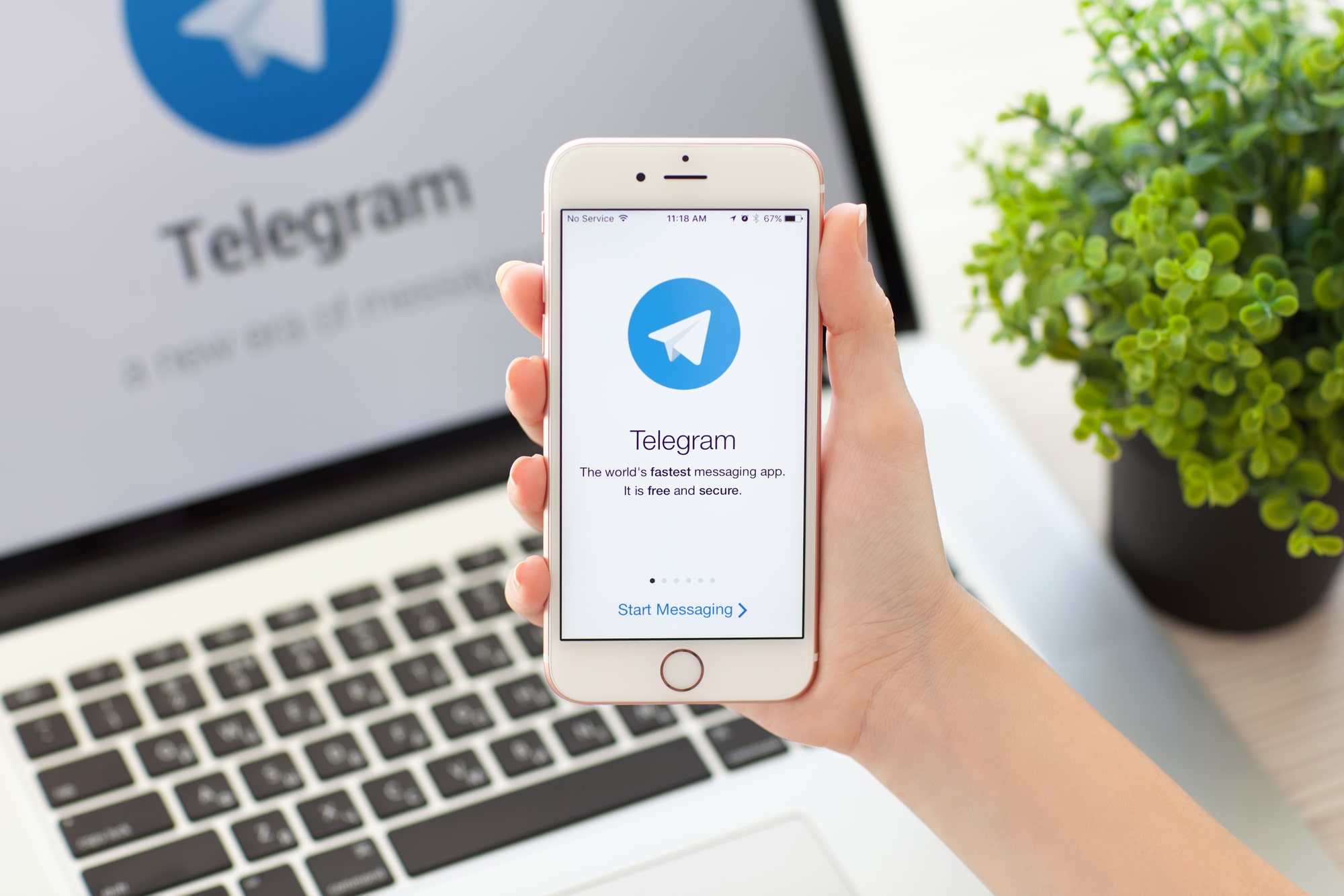 Telegram Open Network: Between Hope and Disappointment