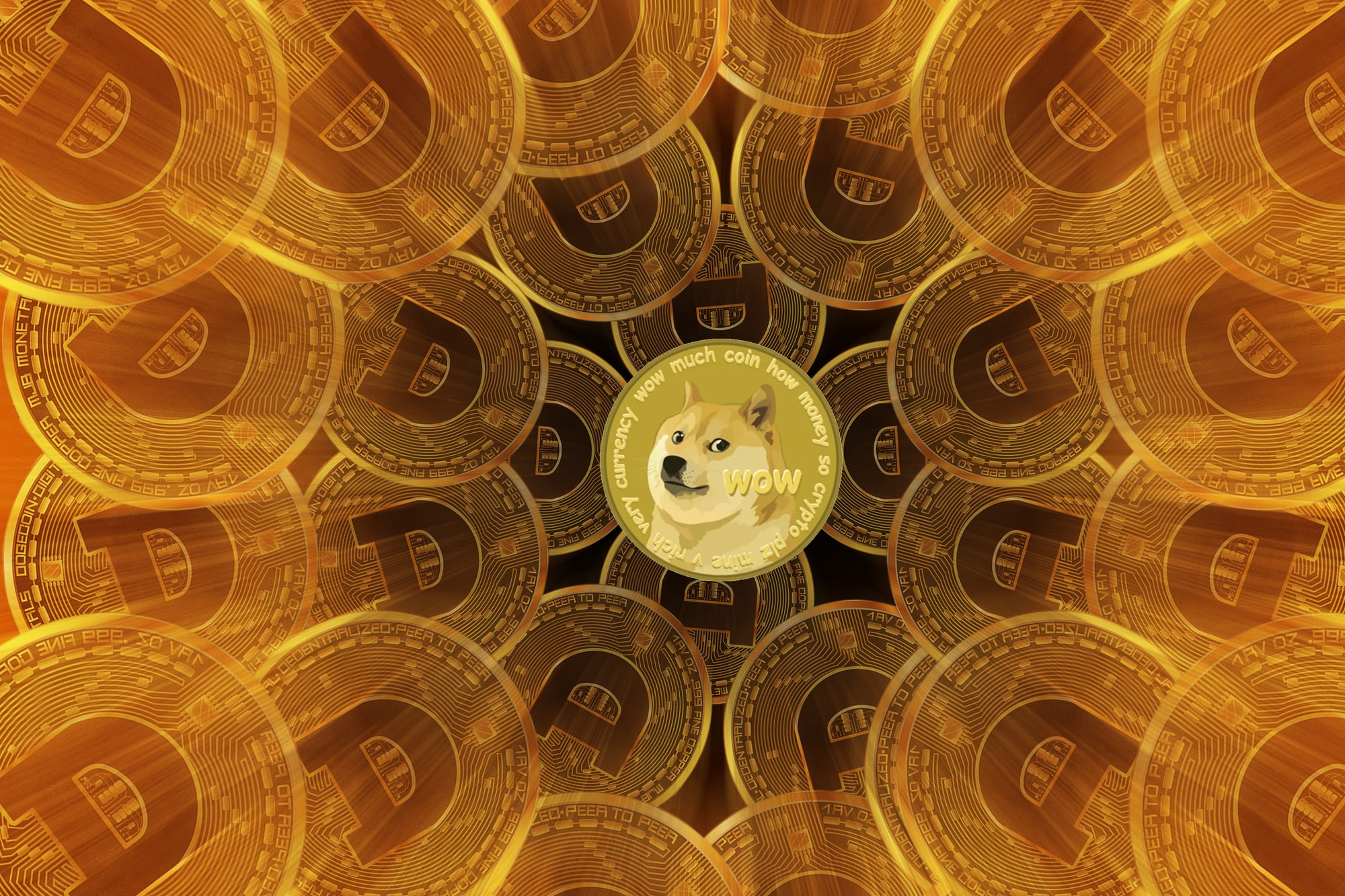 Dogecoin Killer? The Coin Bureau head is eyeing the Shiba Inu potential