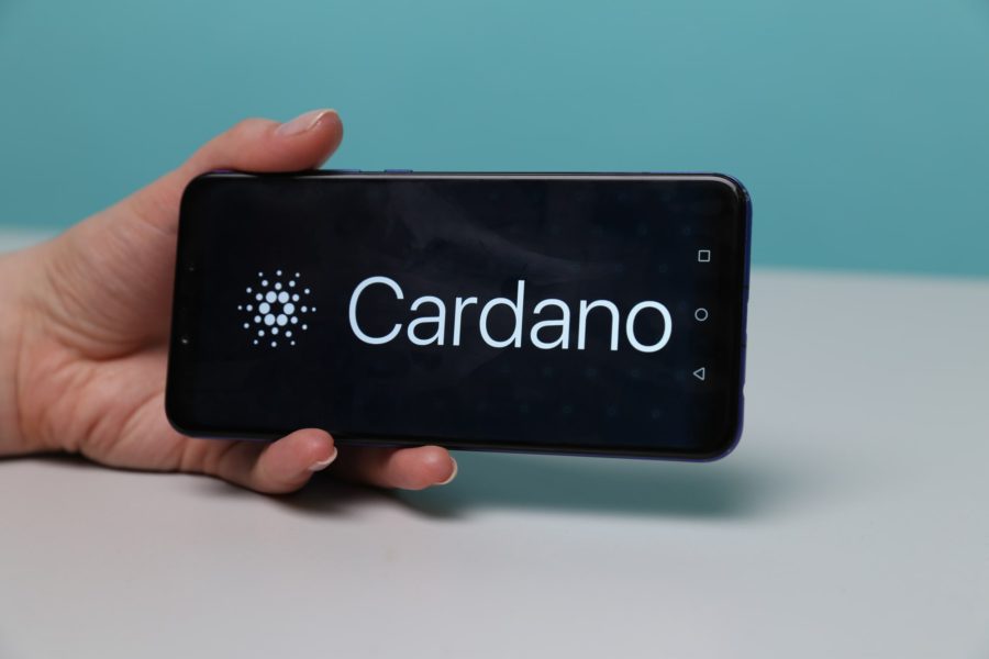 Cardano network adds over 70,000 wallets in 30 days despite price falls