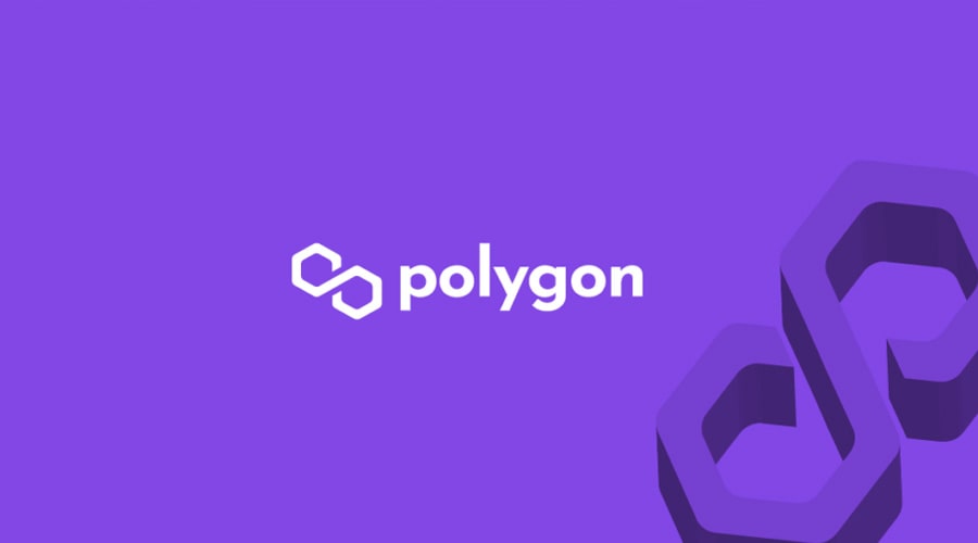 Polygonscan went down, causing unwarranted concern of blockchain outage