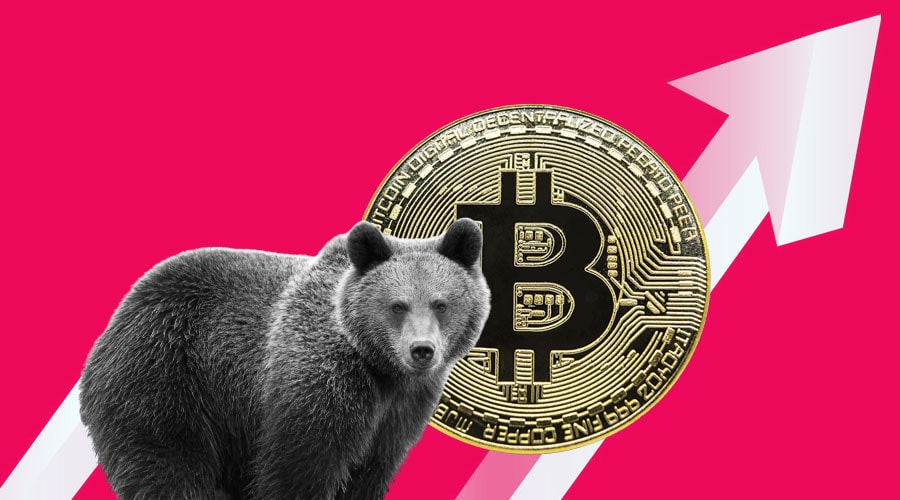 Bitcoin on-chain data highlights the steps BTC is taking to exit the bear market