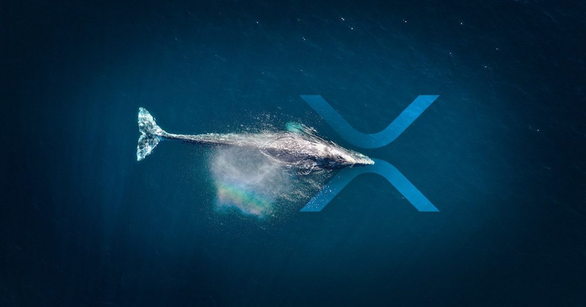 Whale Alert sparks speculation as XRP transfers surge