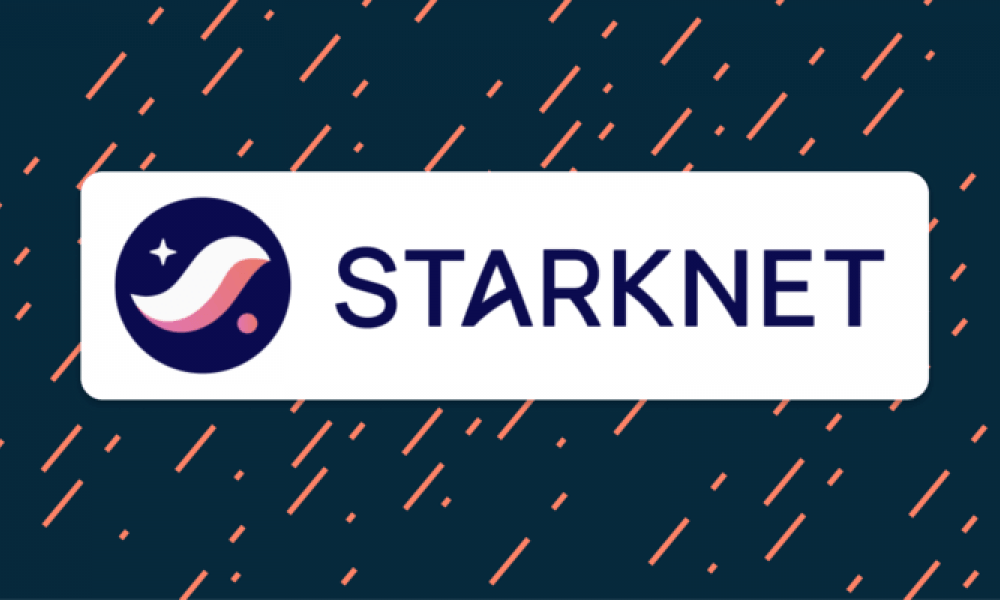 Starknet token distribution not yet finalized despite speculation over portal screenshots