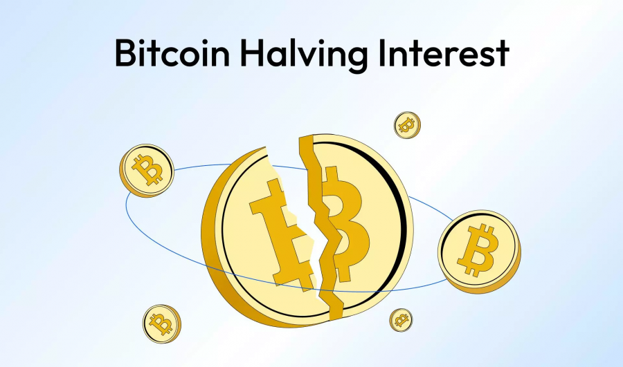 Bitcoin halving searches on Google is at its highest point ever