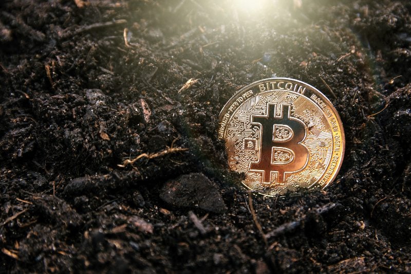 Abu Dhabi agricultural regulator bans use of farmland for crypto mining